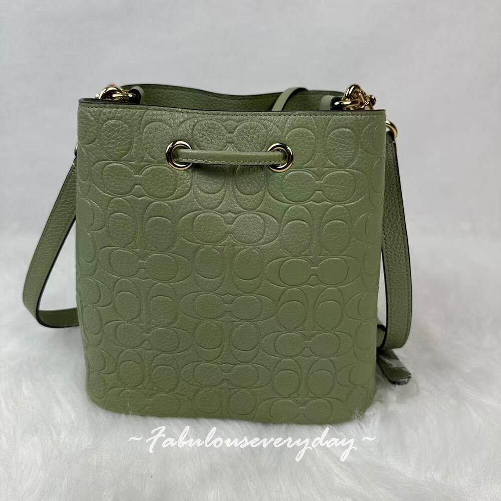 Coach Rowan Bucket Bag Crossbody In Signature Leather CEA96 Pistachio + Pouch - Picture 3 of 7